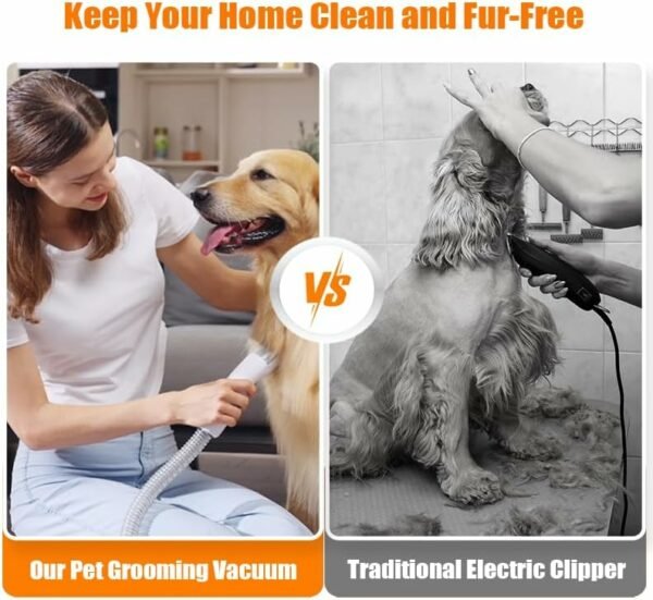 Pet grooming - lvittyPet Pet Grooming Vacuum & Dog Grooming Kit,13Kpa Dog Grooming Vacuum, 2L Dog Vacuum for Shedding Grooming Pet Hair,48dB Low Noise Cat Dog Hair Groomer Pet Grooming Supplies - Pelham Pet Shop