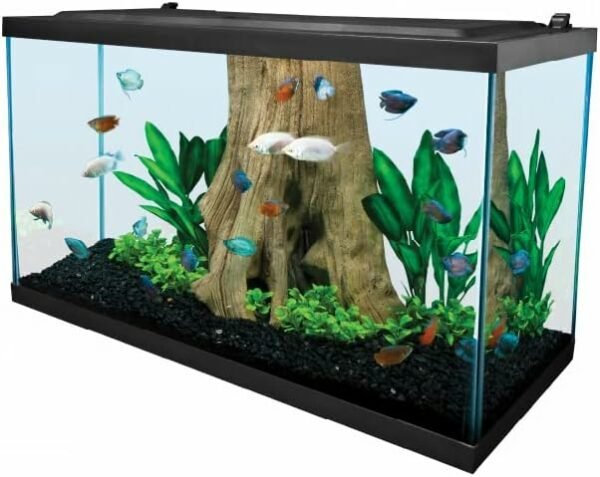 Fish tanks - Tetra Complete LED Aquarium 29 Gallons, Includes LED Lighting, Filtration, Heater and Accessories - Pelham Pet Shop