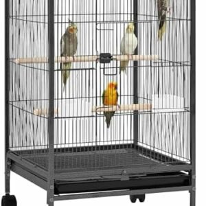 Bird cages