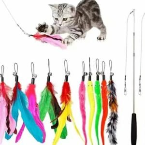 Cat toys