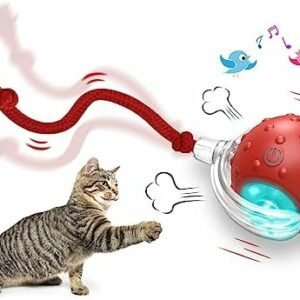 Cat toys