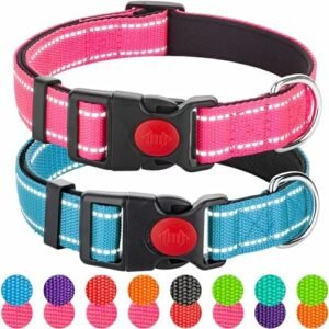 Dog collars