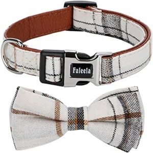 Dog collars