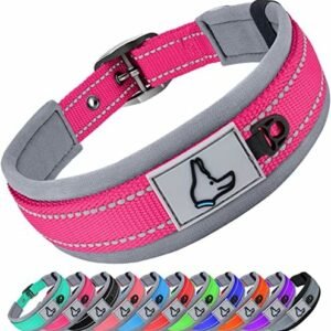 Dog collars