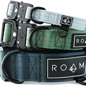 Dog collars