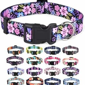 Dog collars