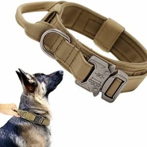 Dog collars