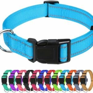 Dog collars