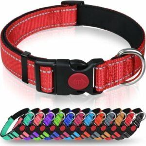 Dog collars