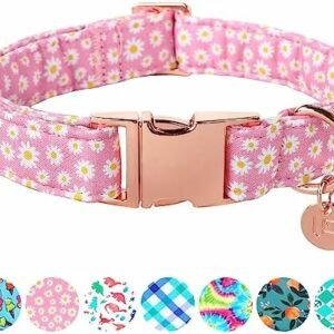 Dog collars