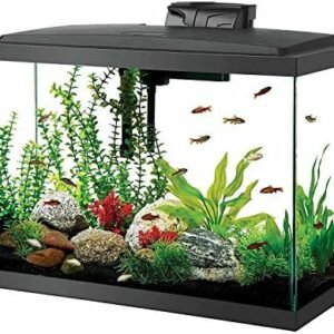 Fish tanks