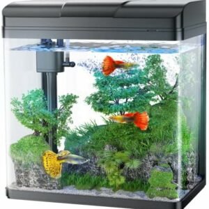 Fish tanks