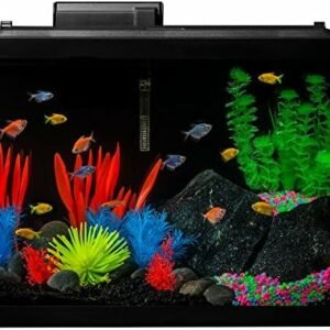 Fish tanks