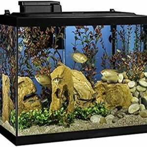 Fish tanks