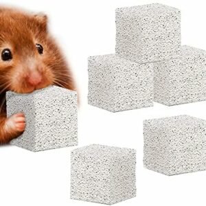 Hamster toys