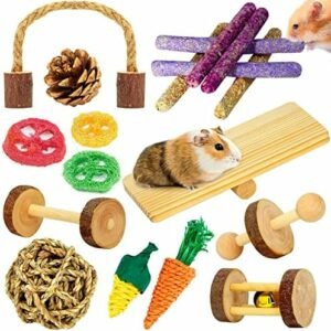 Hamster toys