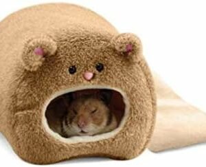 Hamster toys