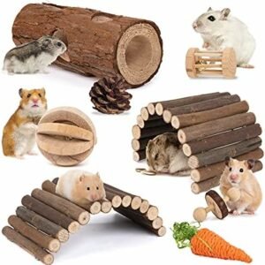 Hamster toys