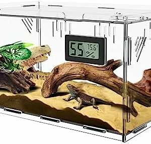 Reptile terrarium